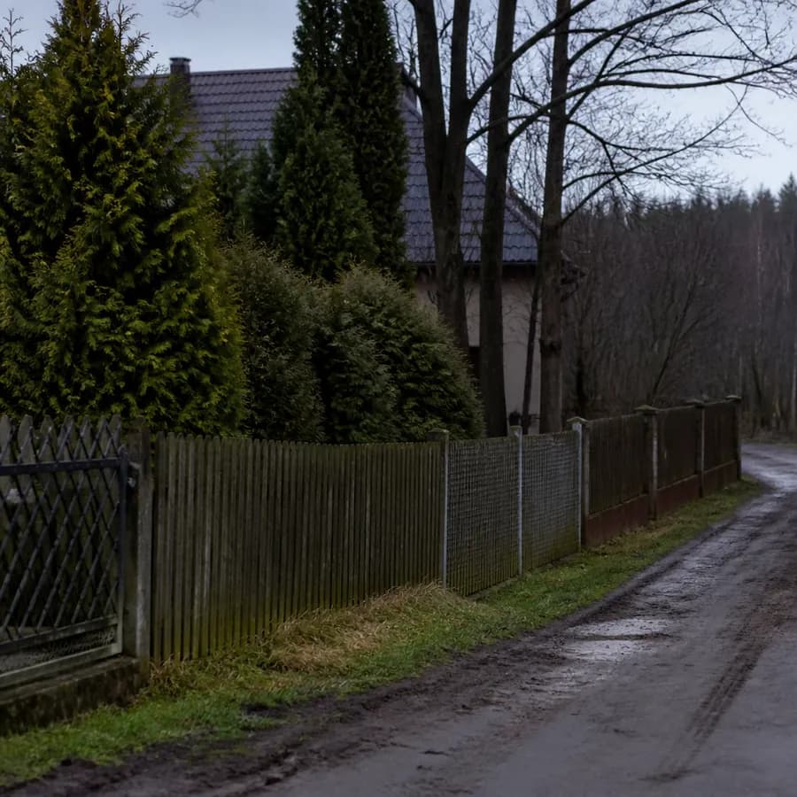 Wilki podchodzą pod zabudowania w gminie Korczew. Samorząd apeluje o ostrożność