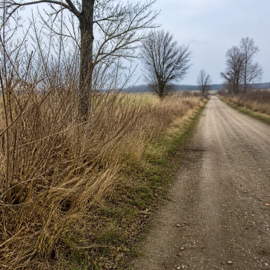 Ważne ostrzeżenie w sprawie wścieklizny w gminie Suchożebry